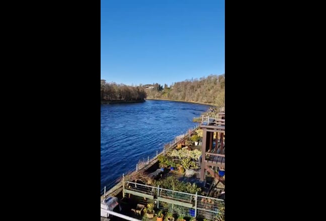 Double Room & bathroom with Study/office included  Main Photo