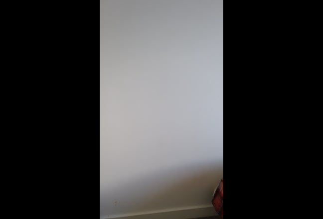 Flatmate required Hampton  Main Photo