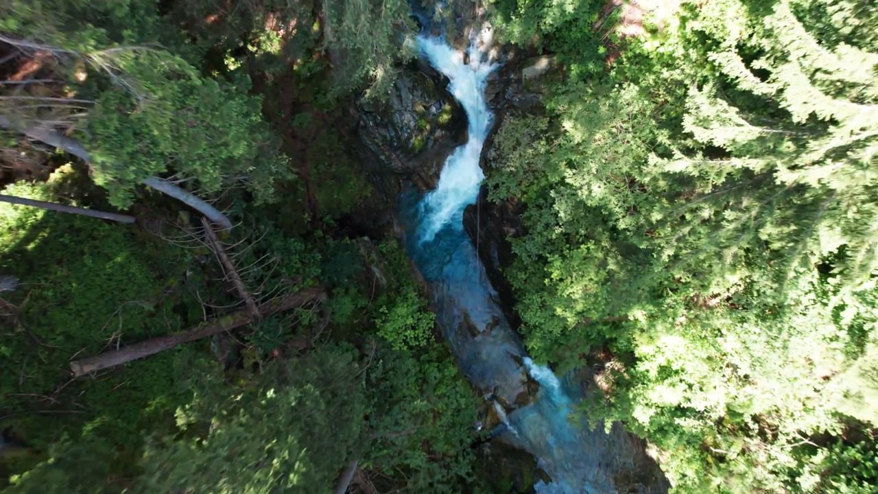 Avventura di Tarzaning in Val di Sole _ Sorvola i Canyon del Trentino