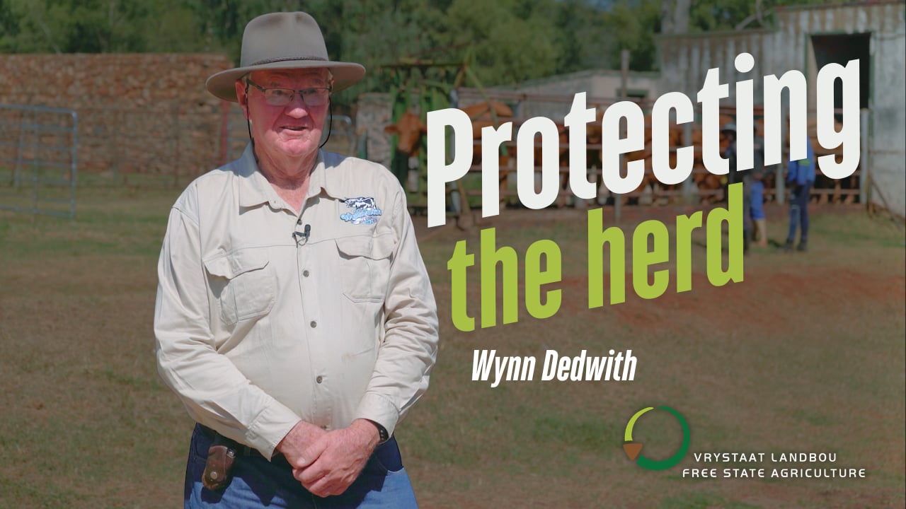 FMD stories  - Wynn-With Milk farm