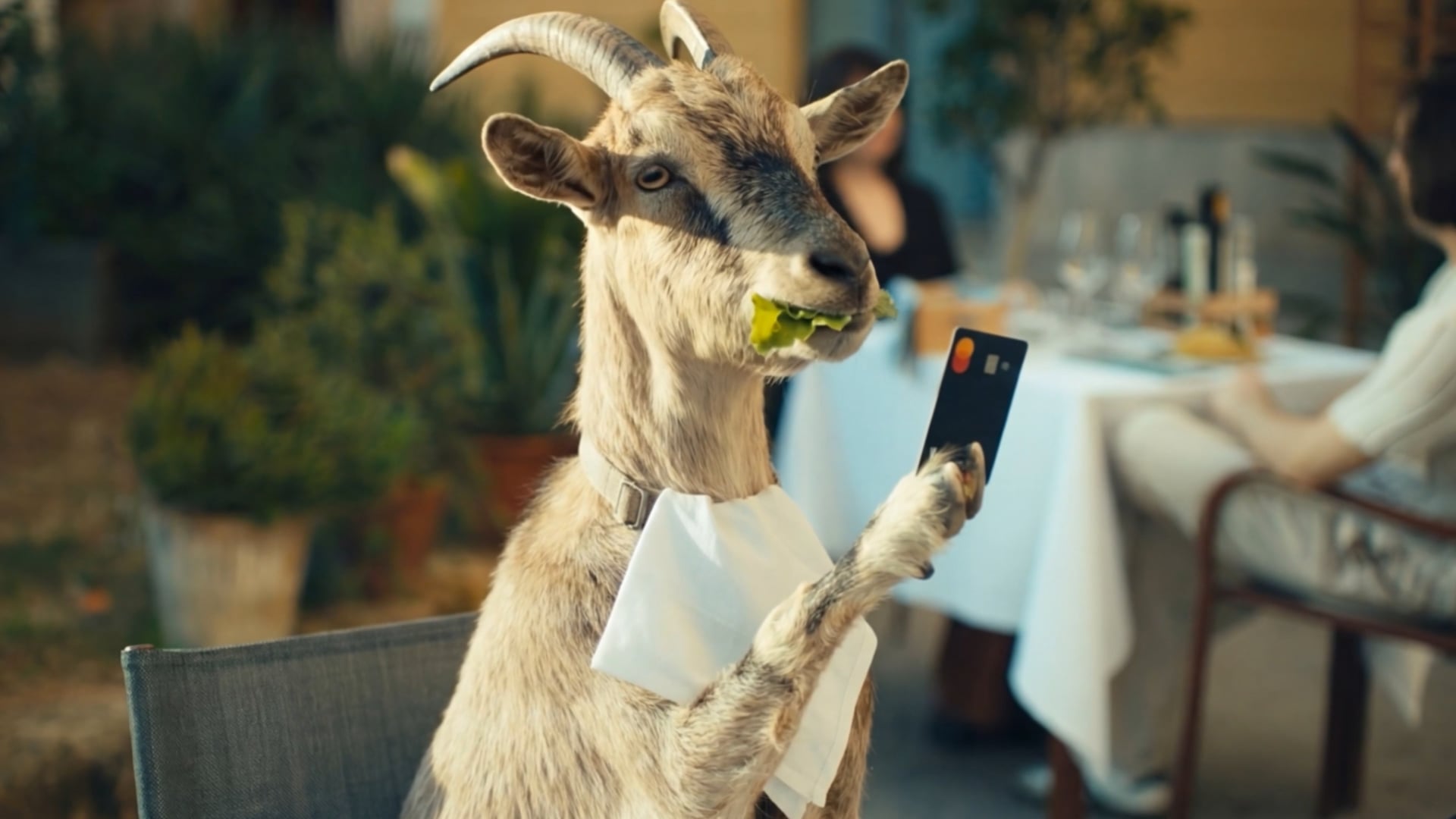Flatpay | TV Kampagne | Goat