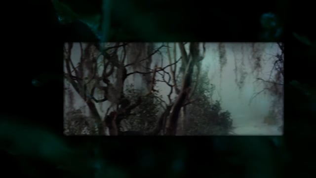Still 5
