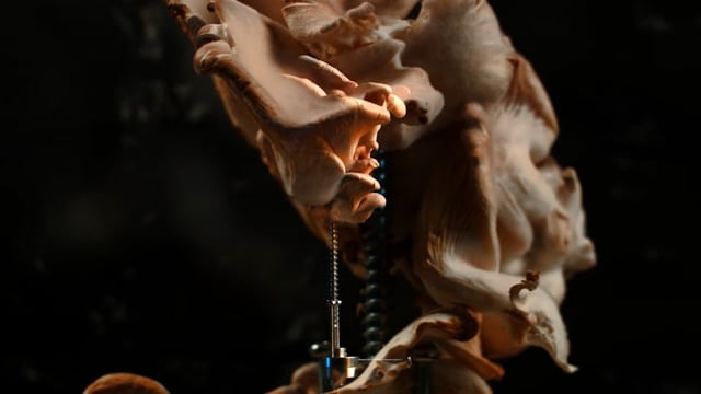Still 3