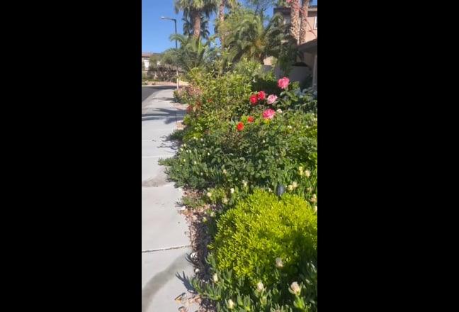 Great summerlin school area one time flat fee Main Photo