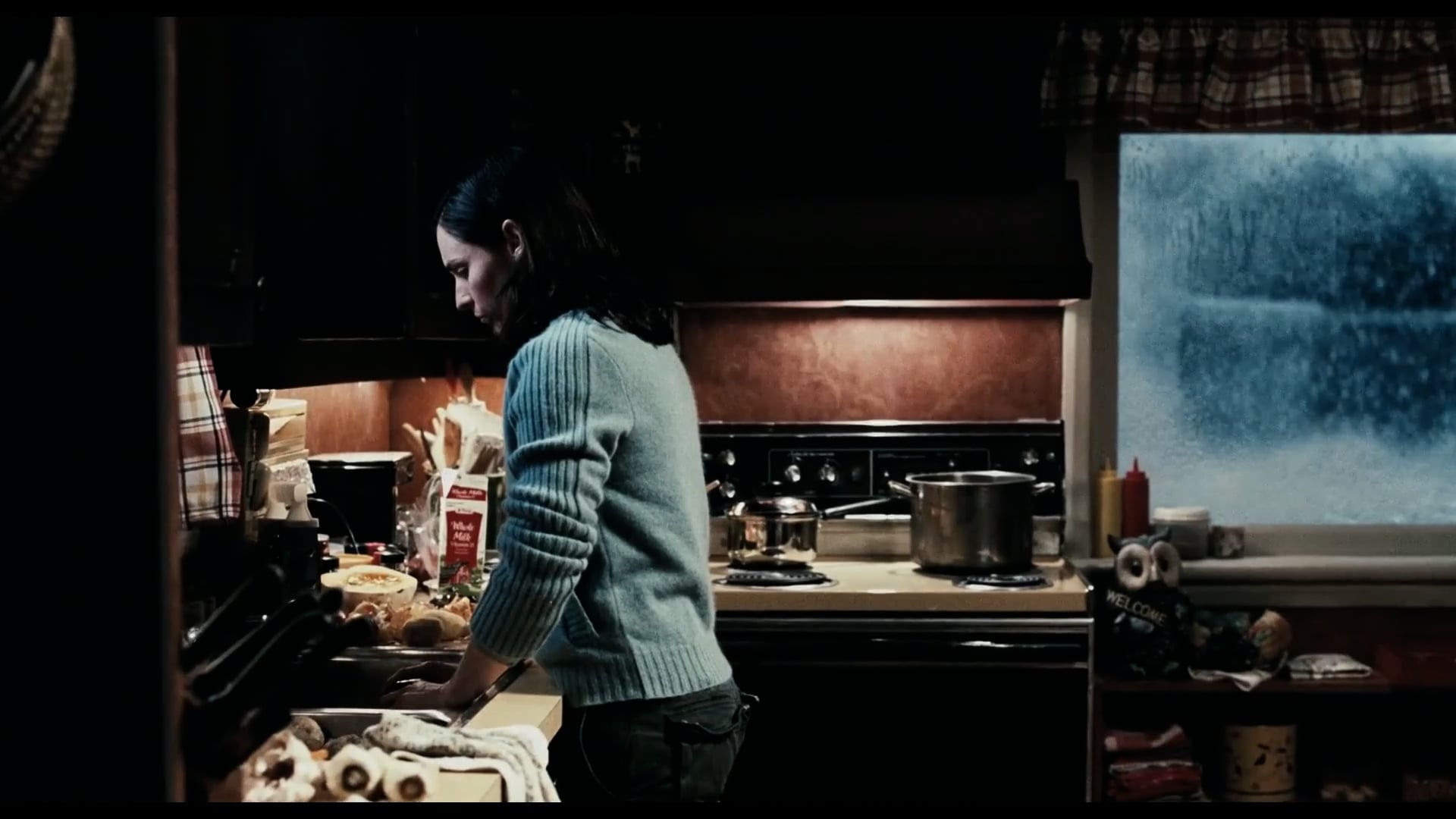 30 DAYS OF NIGHT | David Slade