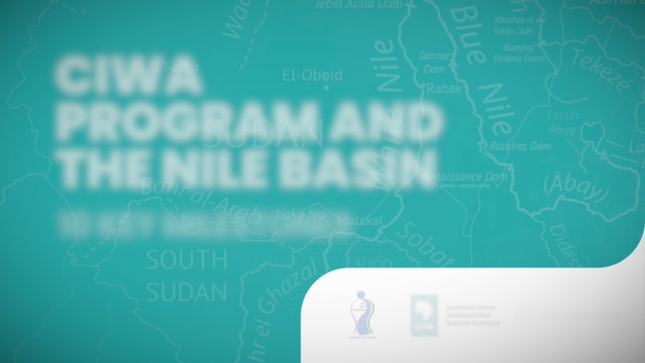 Nile Basin Discourse and CIWA Program Partnership Over the Years