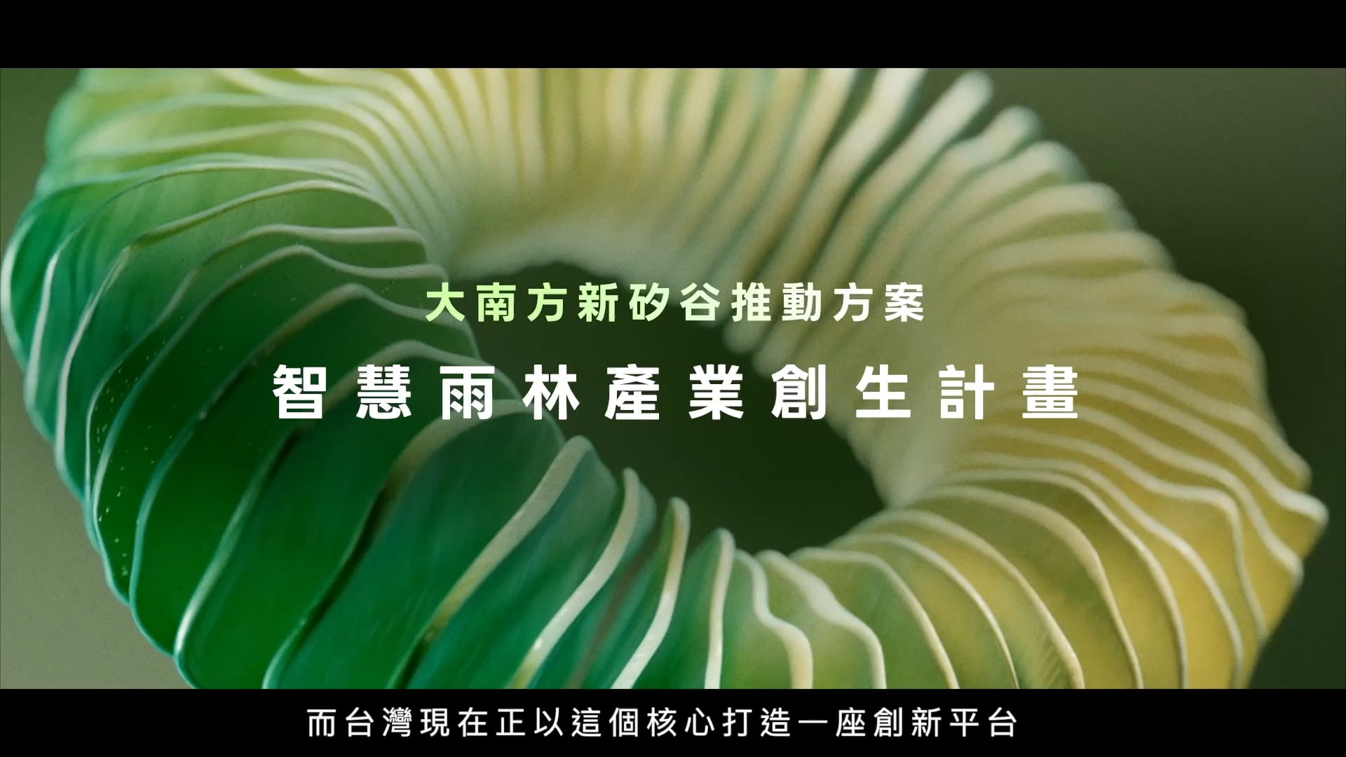 | AE/MG | 智慧雨林產業創生計畫 成果宣傳動畫