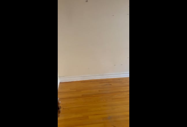 ‼️‼️(Clean and Respectful Roommate )‼️‼️ Main Photo