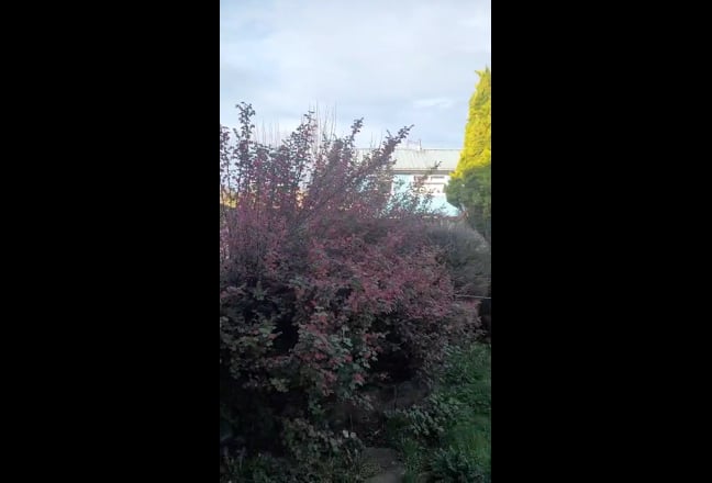 Newly refurbished single room bills inclusive Main Photo