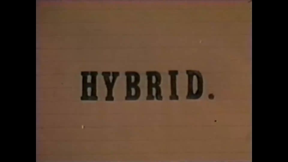 Hybrid