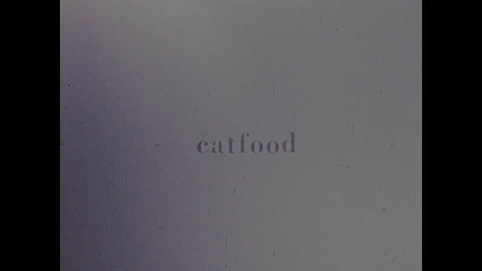Cat Food