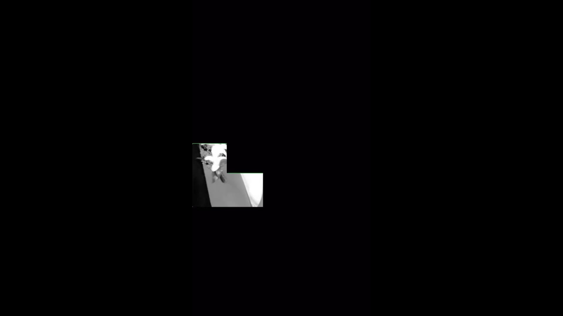 Promotional video thumbnail 3 for G.P Photography