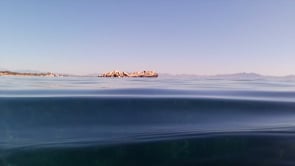 Esquerra Republicana reclama la instal·lació de boies de fondeig ecològic a la badia de Riells