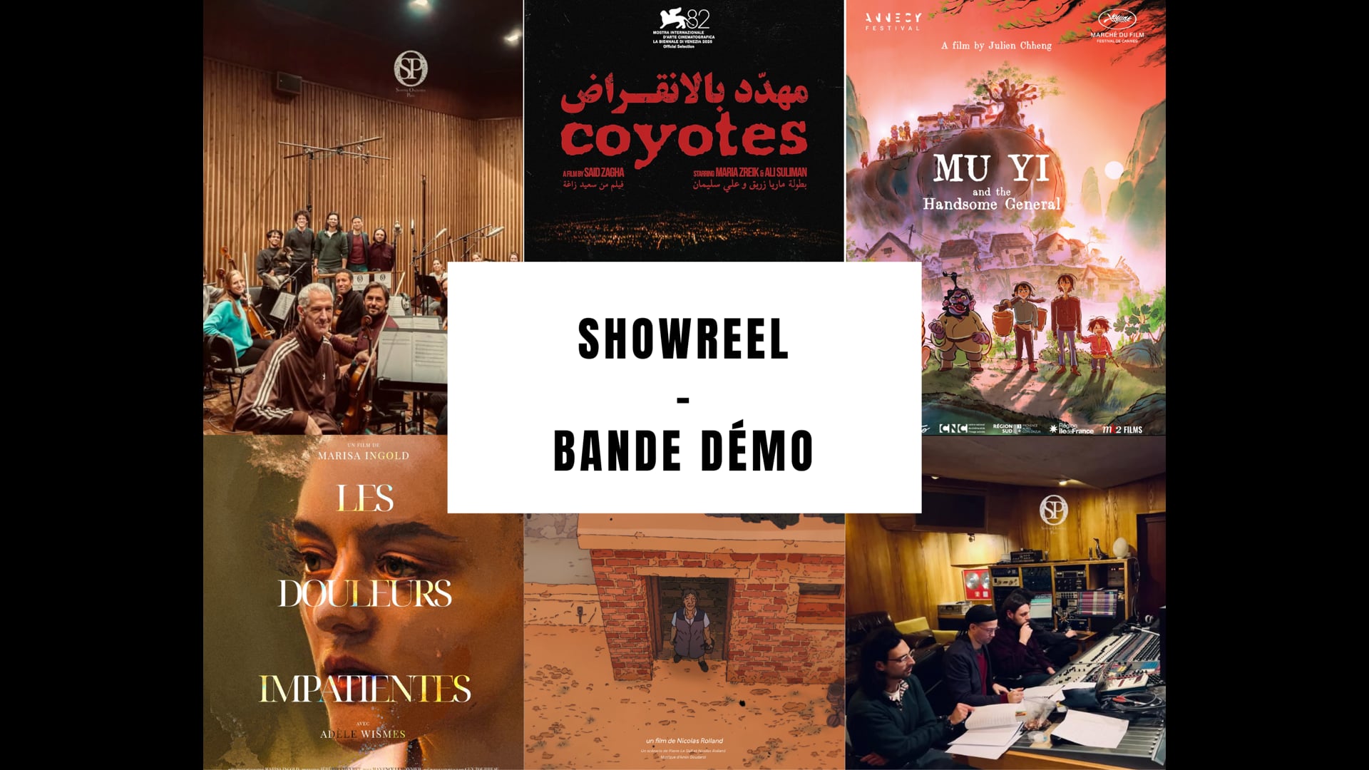 Showreel Amin Goudarzi