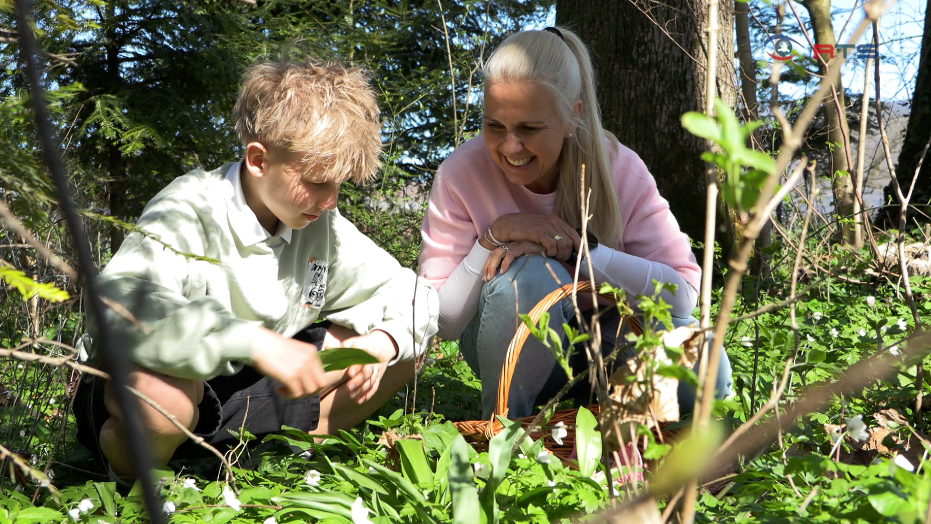 gruener-fruehling-wissenswerte-tipps-rund-um-baerlauch