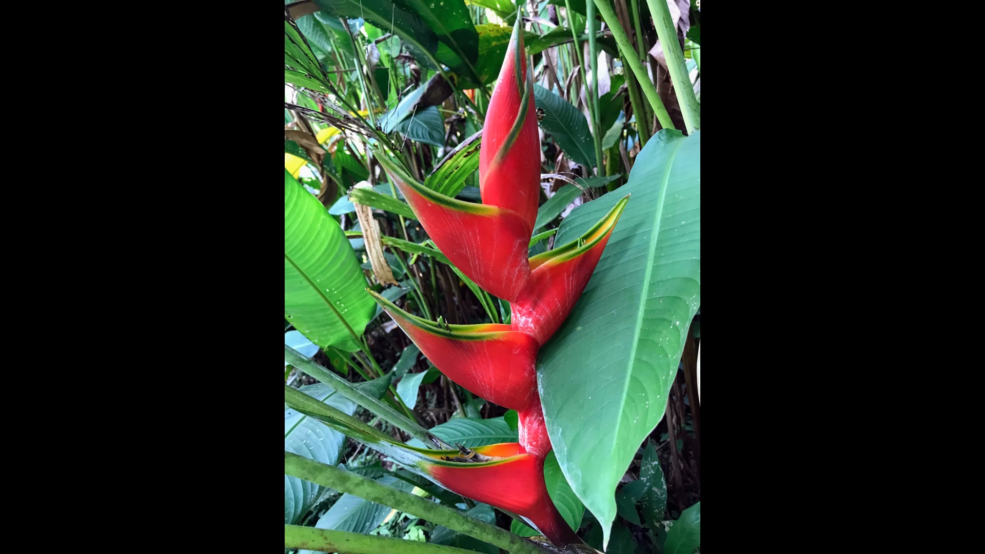 2026 March 02: Gradually Inclining toward Pain/ Sickness