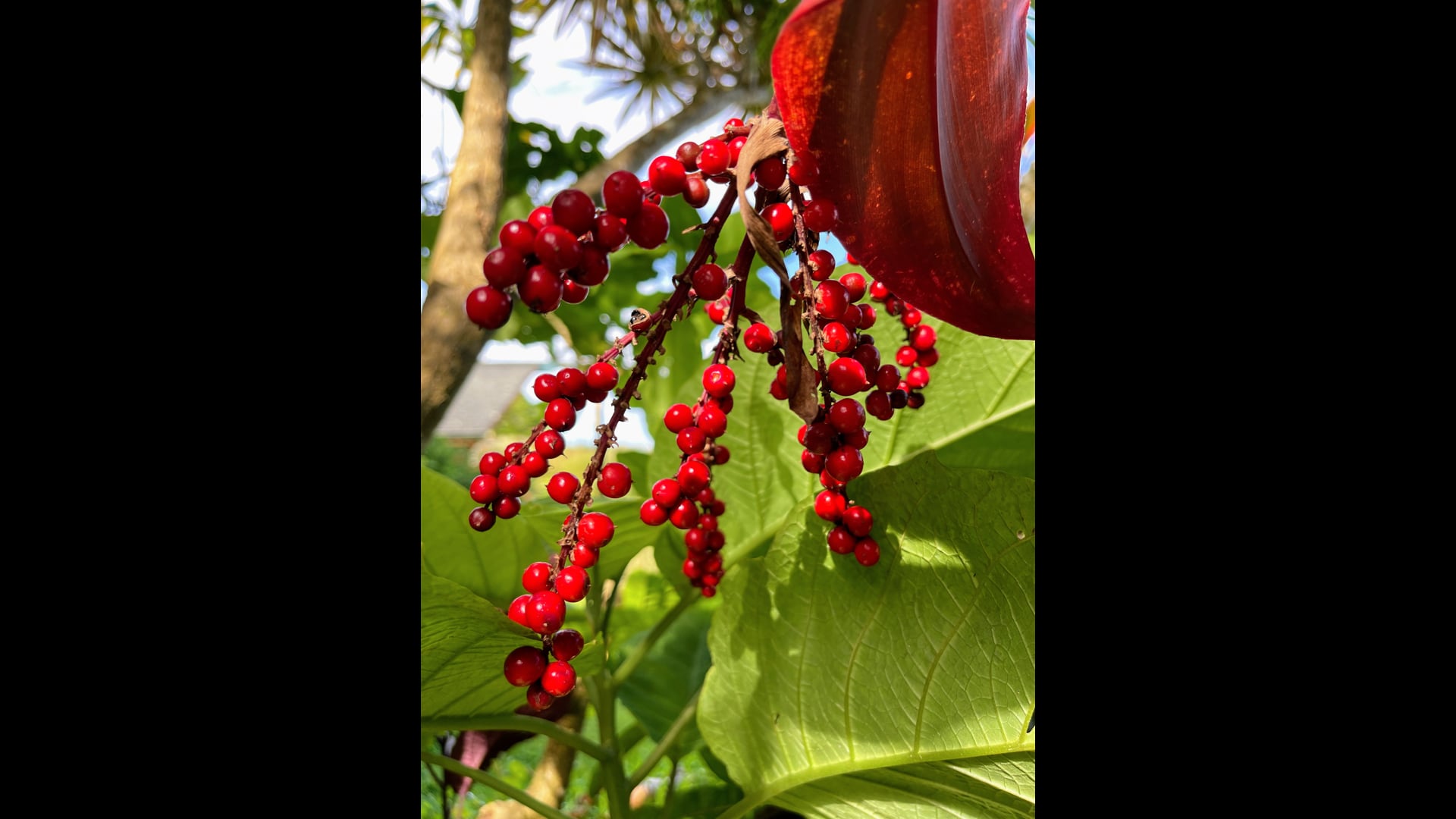 2026 March 04: Notice the Health that is Here!