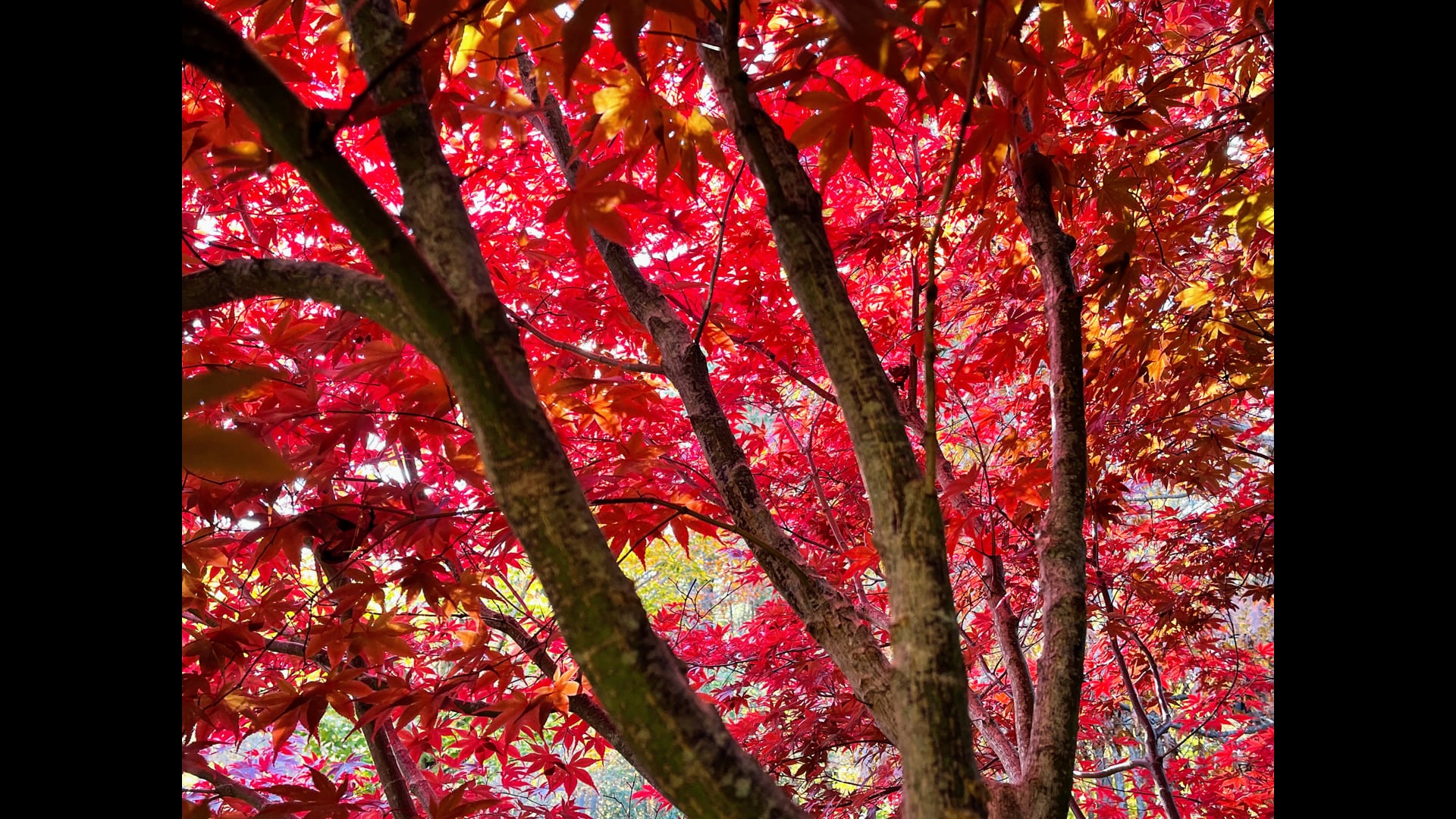 2026 March 09: Sickness Can Open Us to Giving and Receiving Care