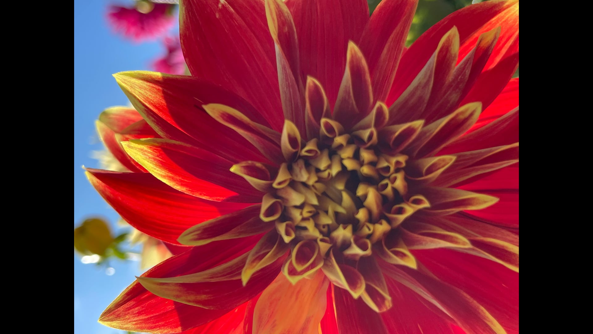 2026 March 11: Self Care as a Way to Meet Illness and Wellbeing Mindfully