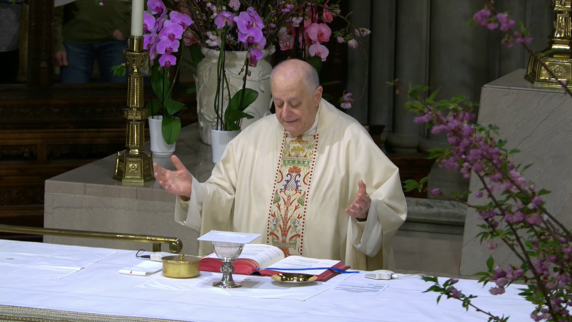 Mass from St. Patrick's Cathedral - April 15, 2026