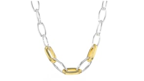 Silver and 14kt Gold-Plated Link Necklace