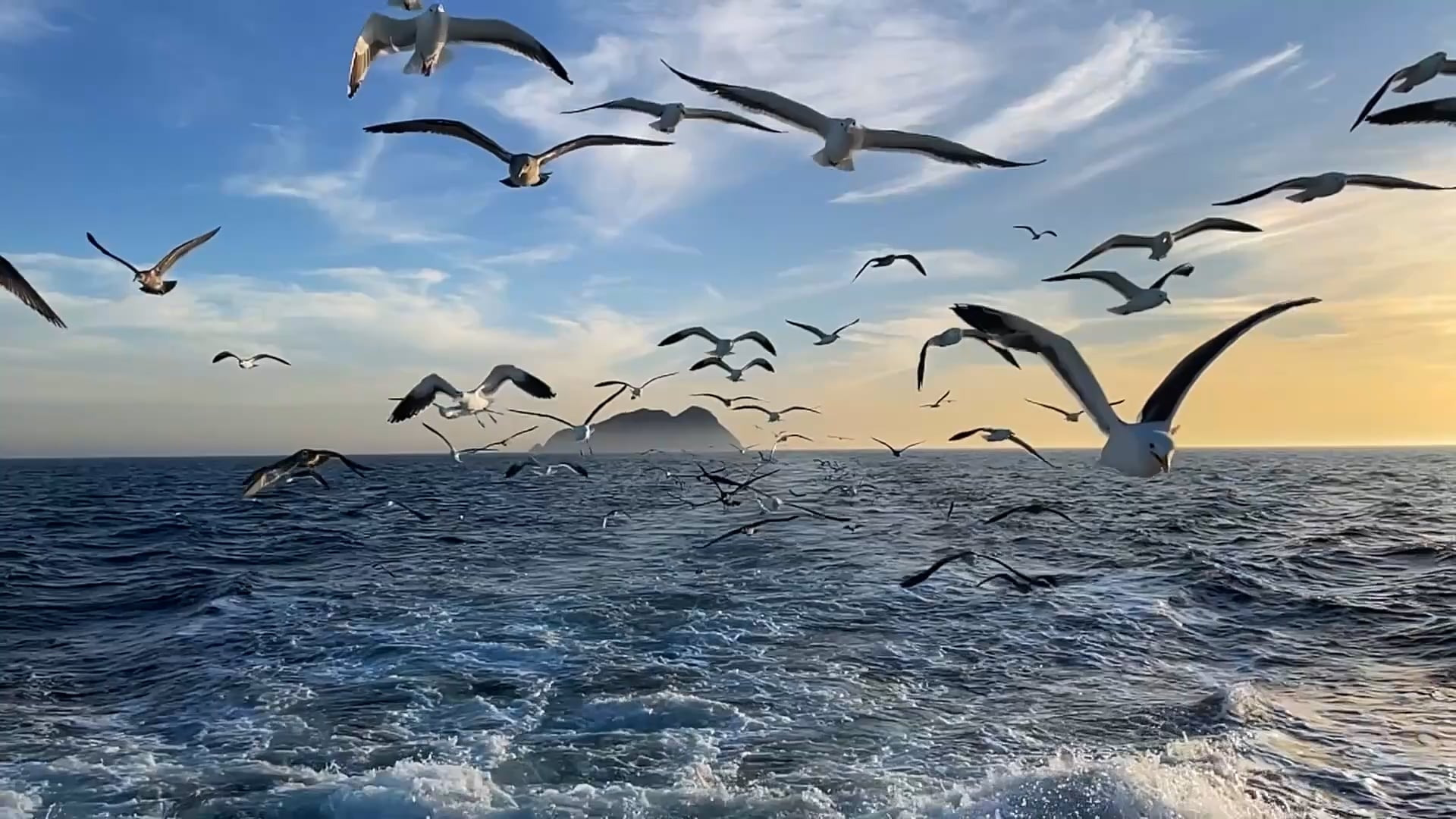 https://i.vimeocdn.com/video/2146384222-414ba75a105d695dfdfb6760b022377e92f473846e7dd85a7a7736d5a985644b-d