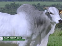 LOTE S03