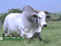 LOTE S01