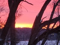 A little morning medicine with the birds and the sunrise