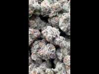 Pink starburst