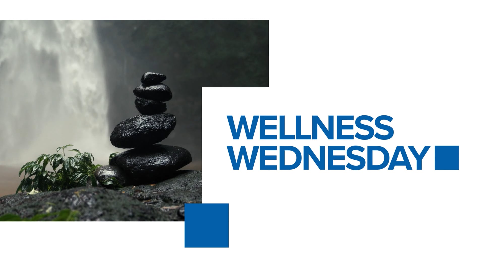 PXL_WellnessWednesday_Stinger