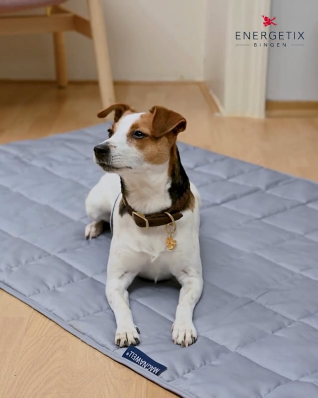 Magnetic blankets for humans and animals