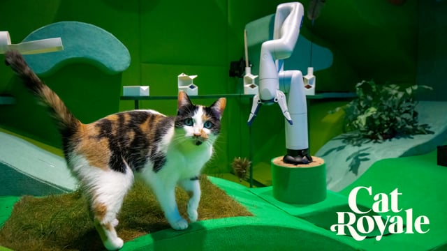 Video still for Cat Royale