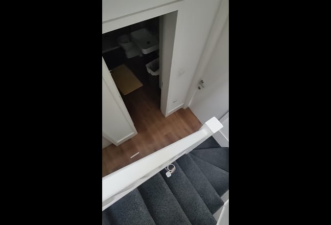 En-suit room in Battersea  Main Photo