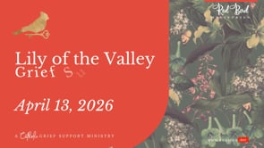 Related Embedded Video Item Thumbnail