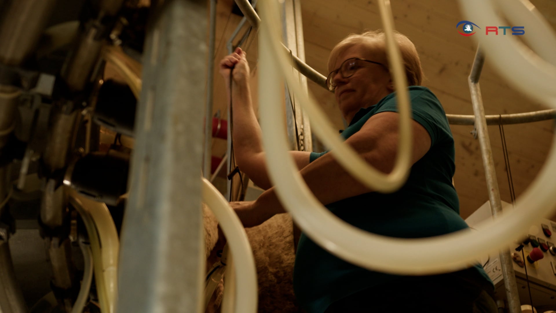 lieferant-fuer-die-spitzengastronomie-das-seegut-eisl