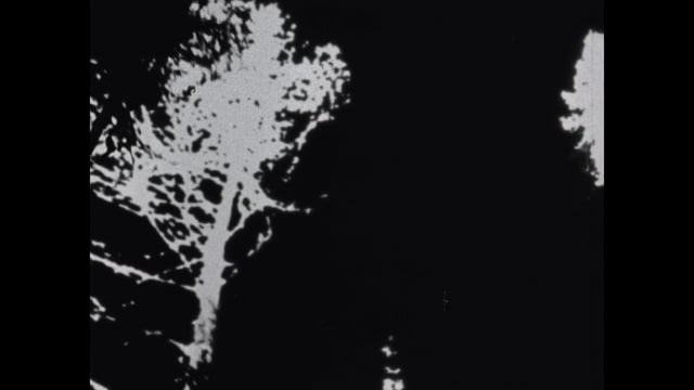 Still 1
