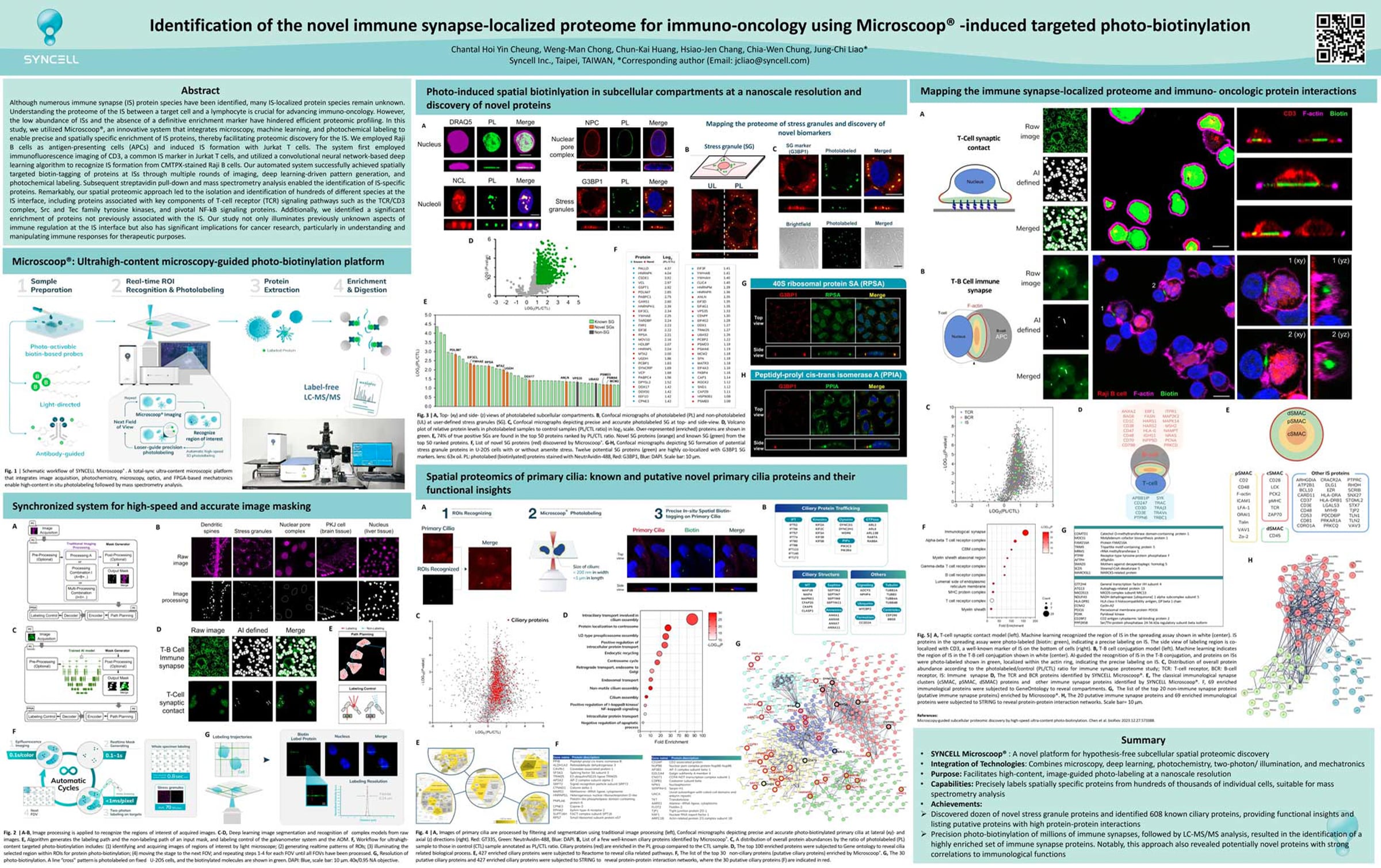 Proteomic analysis of immune synapses by high-precision microscopy ...
