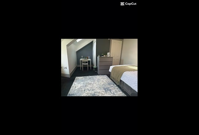 Professional*Hassle Free living*Mini Studio Main Photo