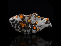 Pallasite Meteorite AWMET458 Video