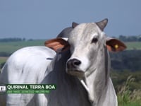 LOTE S07