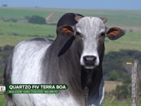LOTE S06