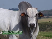 LOTE S05