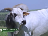 LOTE S04