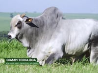 LOTE S02