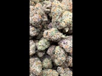 Rainbow sugar luxe