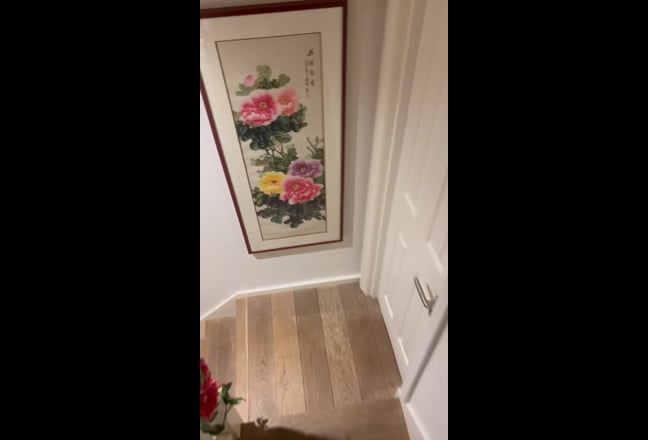 Private Garden Studio 🌿 Quiet Oasis in Kensington Main Photo