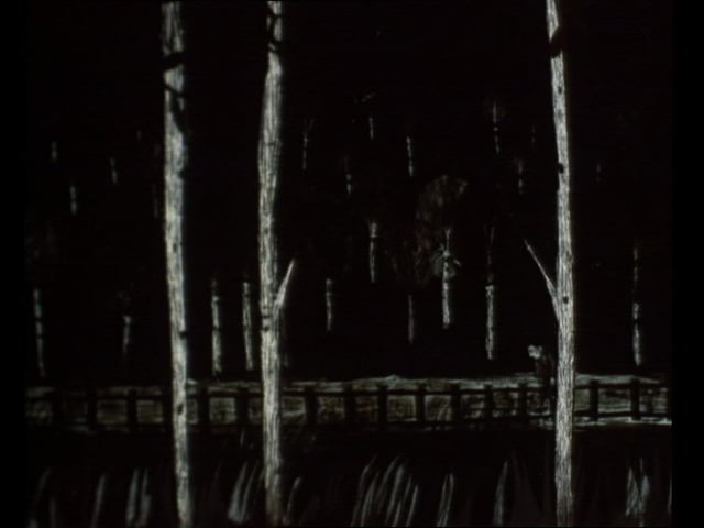 Thumbnail for Passport