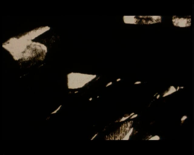 Thumbnail for Me, the Other