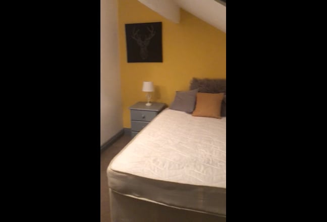 Female Great House Share Main Photo